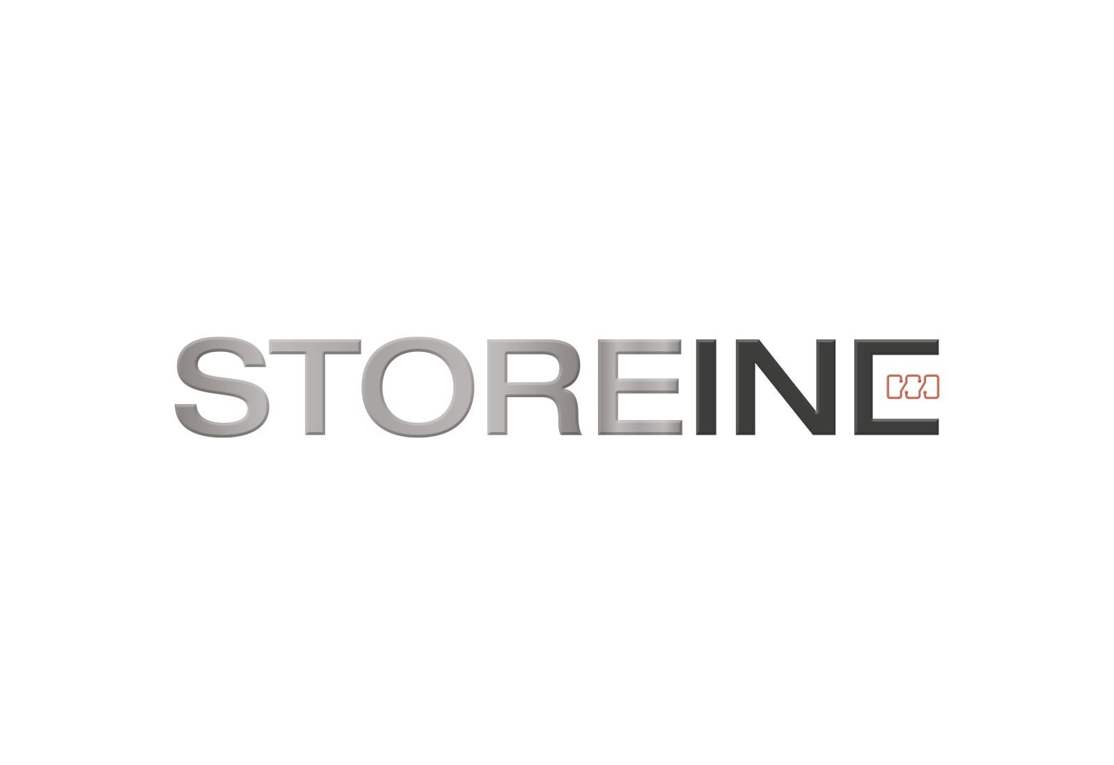 LogoStoreINC_3D